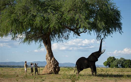 Nyamatusi Camp